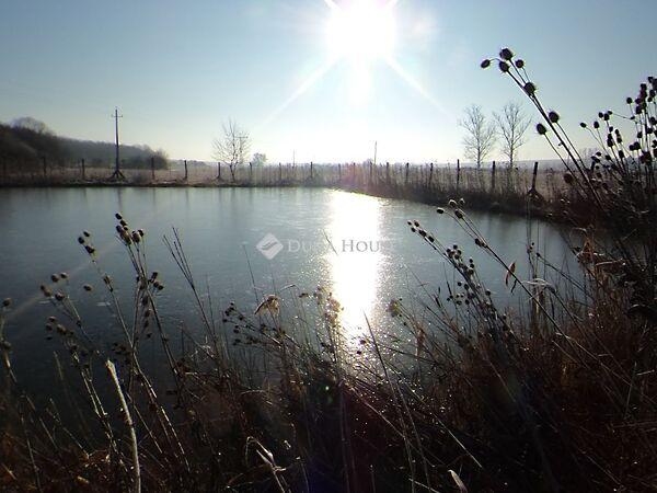 Kökényesi, Verseg képe