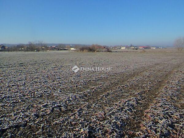 Kökényesi, Verseg 3. képe