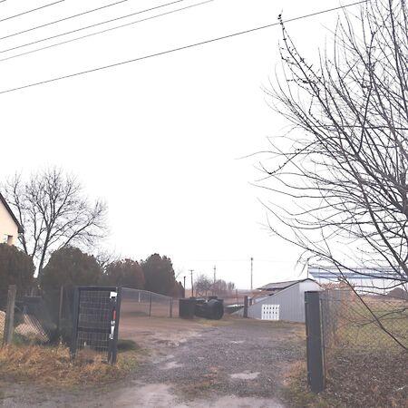 Barack, Mezőkövesd képe