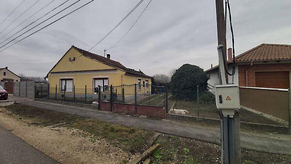 Dózsa György, Enese képe