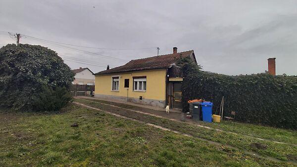 Dózsa György, Enese 2. képe