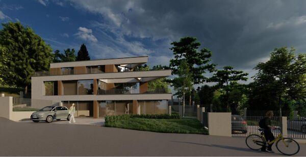 Kökörcsin, Solymár 2. képe