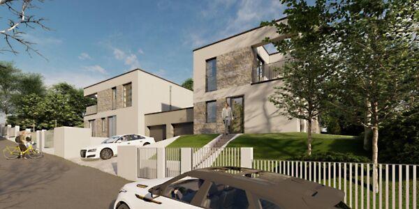 Kökörcsin, Solymár képe