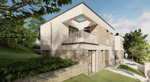 Kökörcsin, Solymár képe