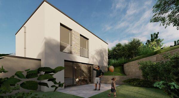 Kökörcsin, Solymár 3. képe