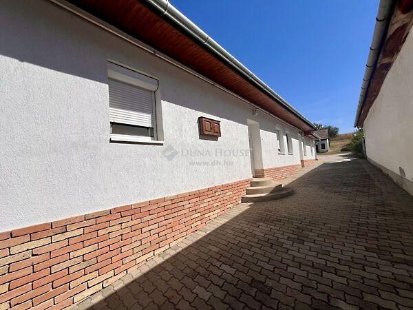 Dózsa György, Szűr 2. képe