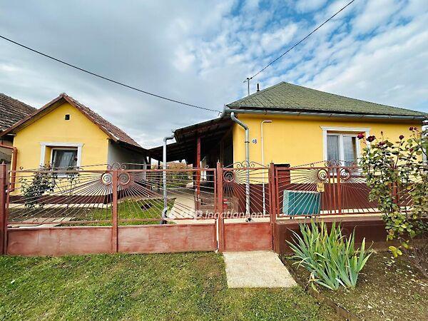 Gávavencsellő képe