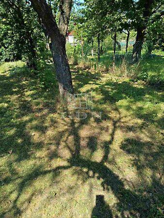 Fő, Szigetújfalu 2. képe