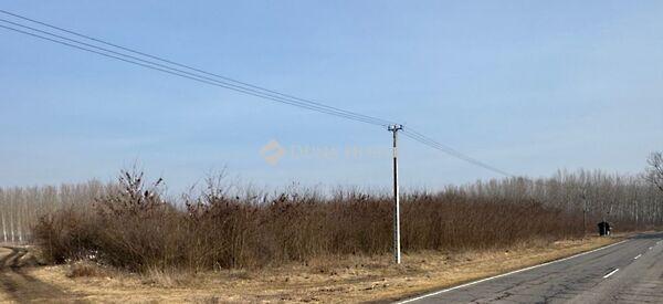 Nyírbogdány 2. képe