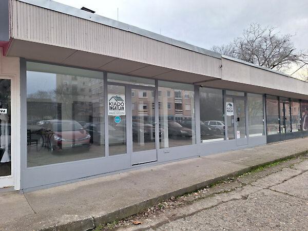 Oldalkosár, Hódmezővásárhely 2. képe