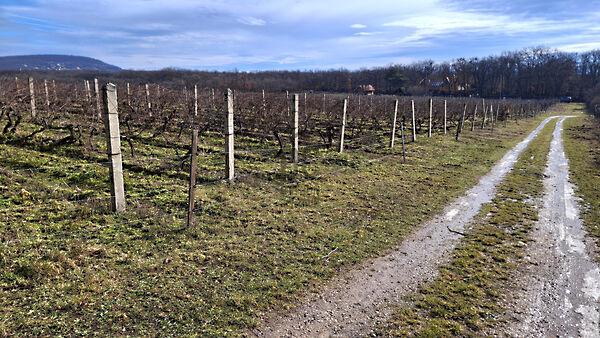 Balatonrendes 2. képe