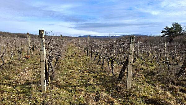 Balatonrendes 3. képe