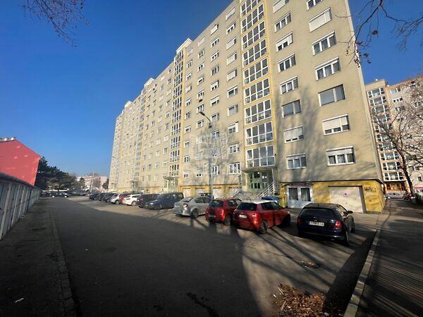 Kígyó, Székesfehérvár 3. képe