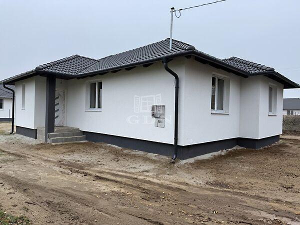 Rózsa, Sülysáp 3. képe