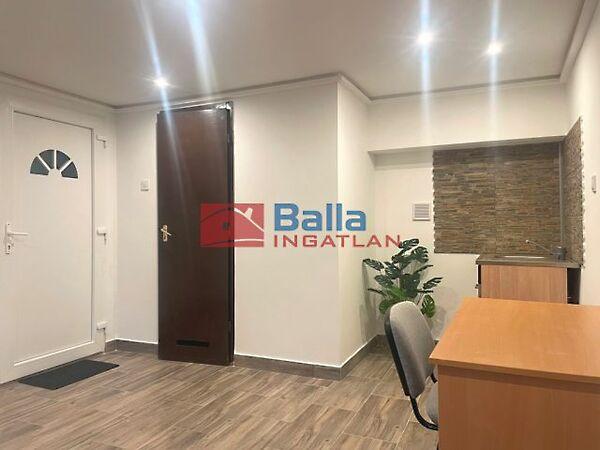 Dr.Csányi László, Vác 3. képe