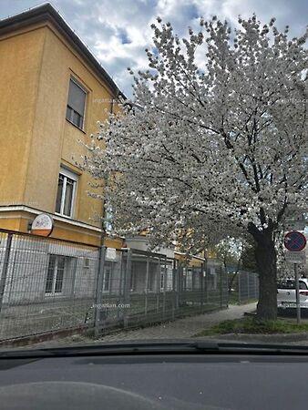 Baross utca, Szolnok képe