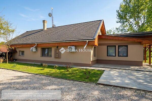 Petőfi Sándor, Helvécia 2. képe