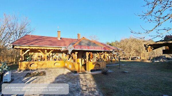 Petőfi Sándor, Helvécia 3. képe