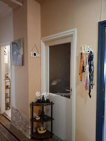 Tiszavasvári 3. képe