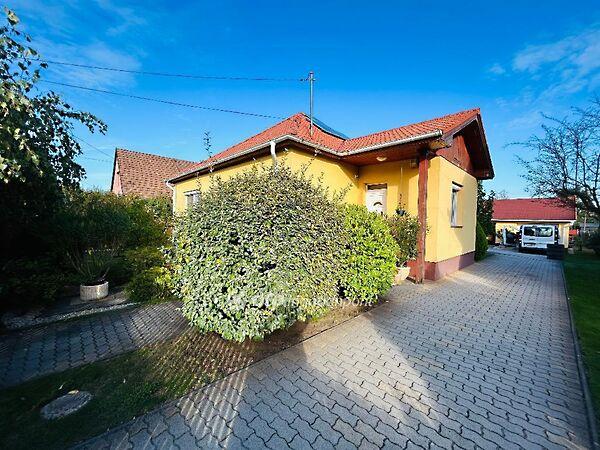 Sipos Sándor, Téglás képe