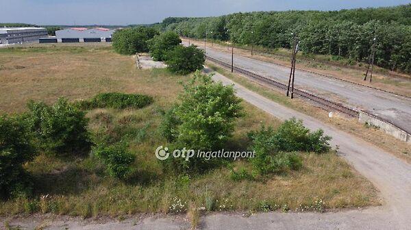 Tornyospálca 2. képe