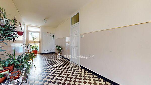 Tiszavasvári 3. képe