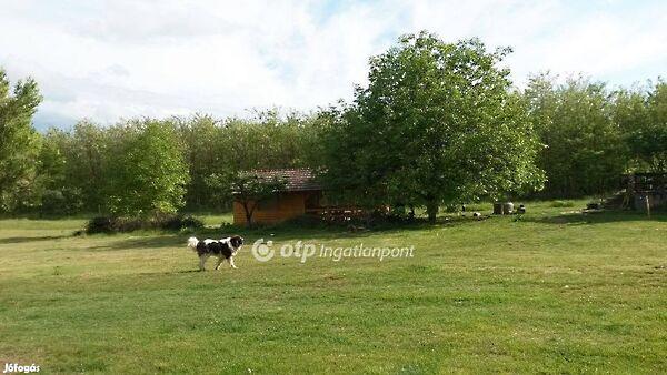 Nyíregyháza 3. képe