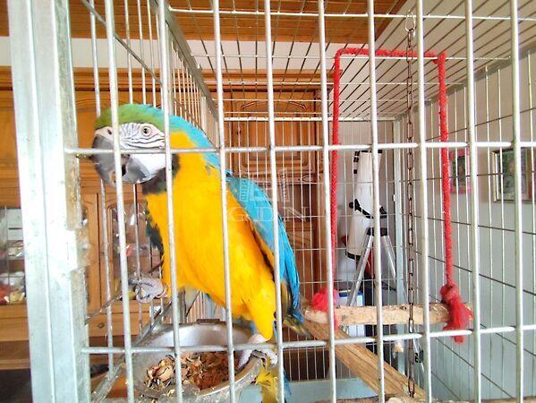 Csendes, nyugodt, Mátyásdomb képe