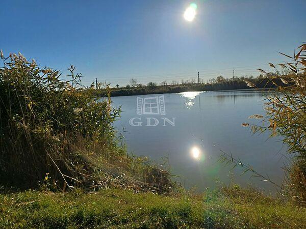 Fő, Tiszakécske képe