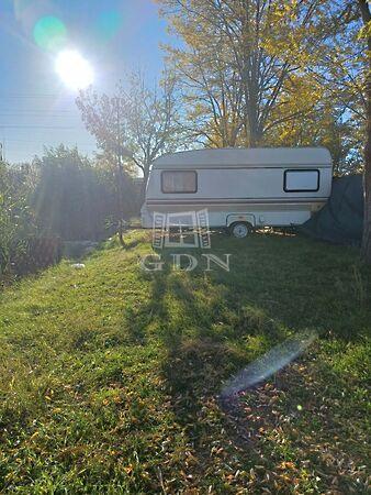 Fő, Tiszakécske 3. képe