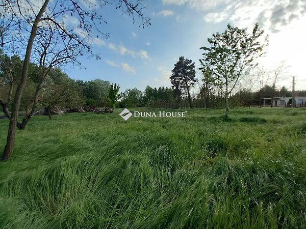 Tiszakécske 2. képe