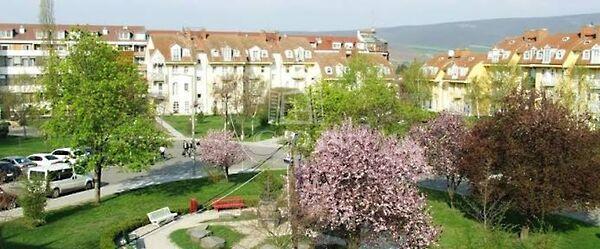 Csillag, Pásztó 3. képe