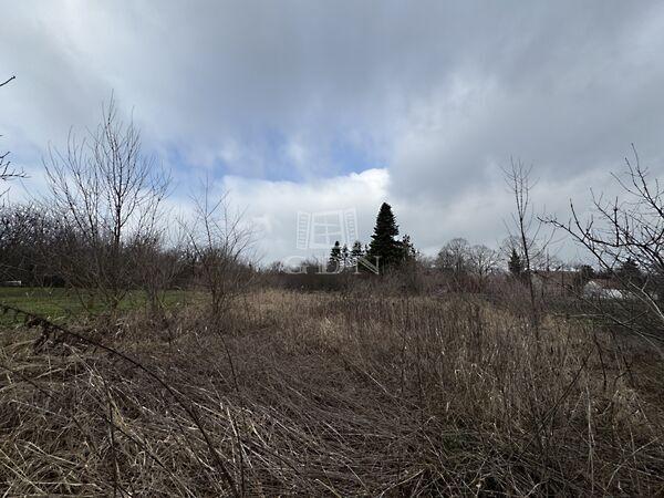 Jakabi, Sárosd 2. képe