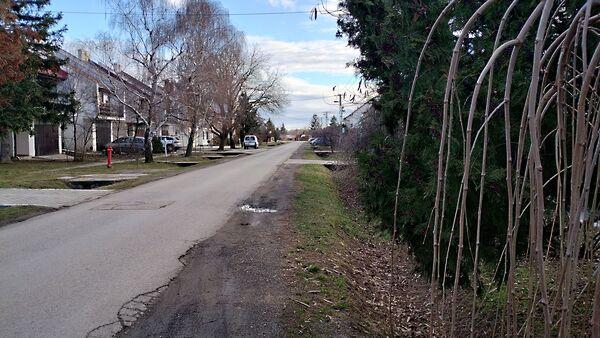 Babits, Bátaszék 2. képe