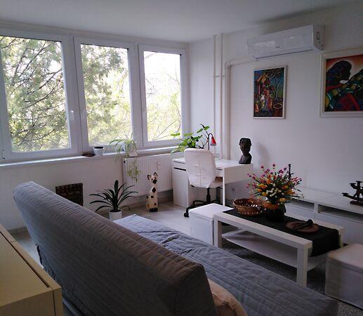 Őz, Nyíregyháza képe