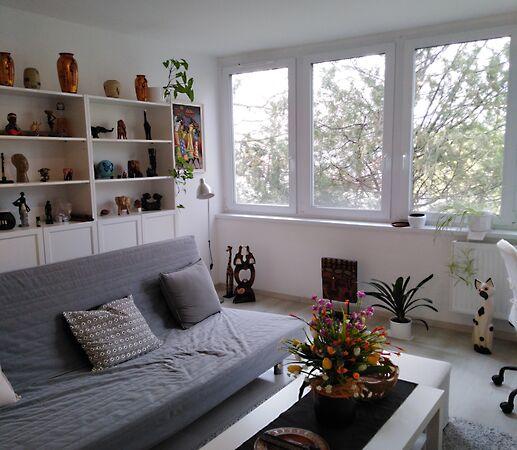 Őz, Nyíregyháza 2. képe