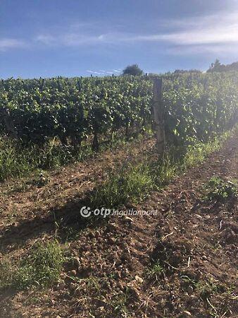 Árpád, Mád 2. képe