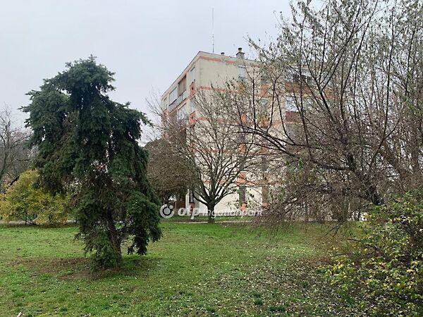 Törökszentmiklós 3. képe