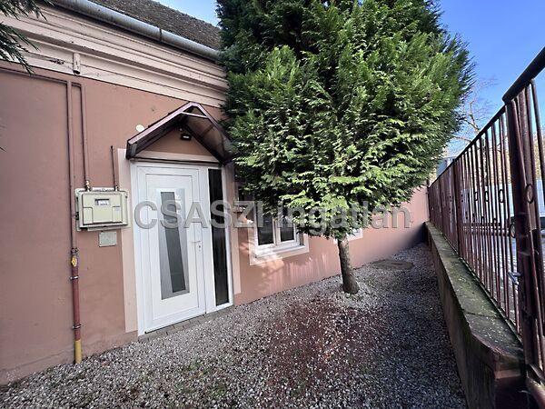 Ady Endre, Nagykanizsa 2. képe