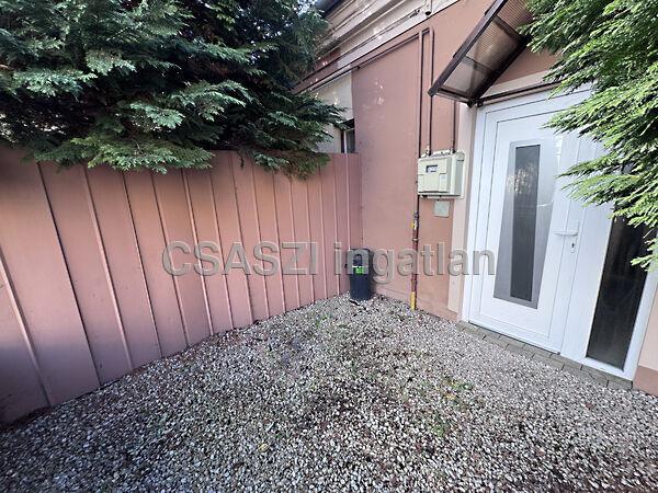 Ady Endre, Nagykanizsa 3. képe