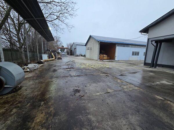 Újfehértó 3. képe