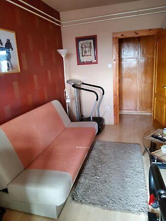 Horváth Mihály, Hatvan képe