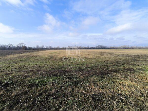 új kerékpár út és a Duna, Dunakeszi 3. képe