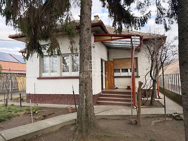 Fő, Dunaharaszti 3. képe