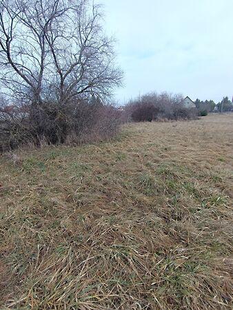 Székesfehérvár képe