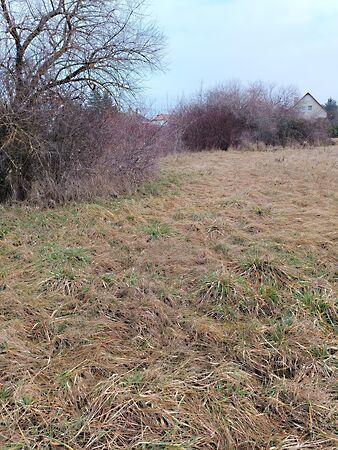 Székesfehérvár 3. képe