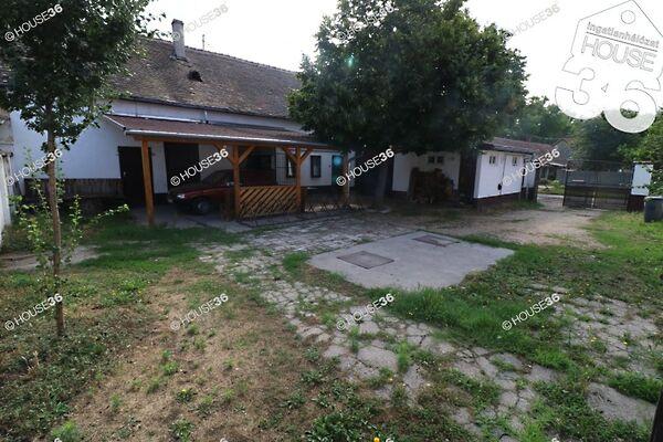 Kiskunhalas 2. képe