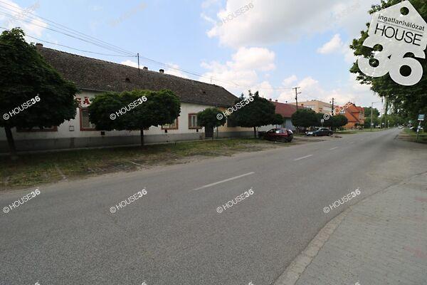 Kiskunhalas 3. képe