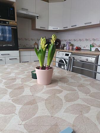 Nyíregyháza 3. képe