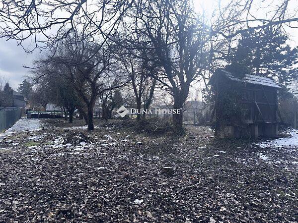 Losonczi, Bicske 2. képe